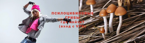 ECSTASY Алексеевка