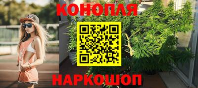 мдпв Аргун