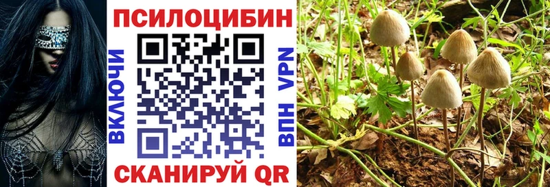 где продают наркотики  Белореченск  ОМГ ОМГ как войти  Псилоцибиновые грибы GOLDEN TEACHER 