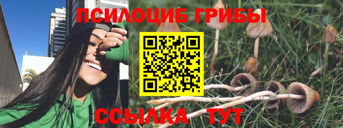 Псилоцибиновые грибы прущие грибы Белореченск